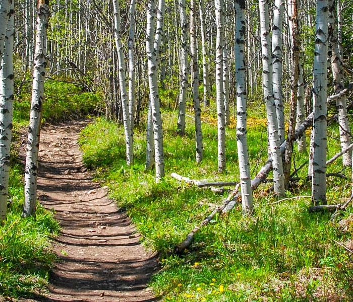 Razor's Edge, Canmore - Alberta Parks