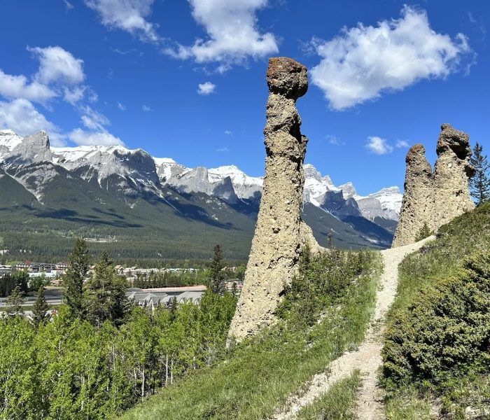 Montane Traverse, Canmore - AllTrails
