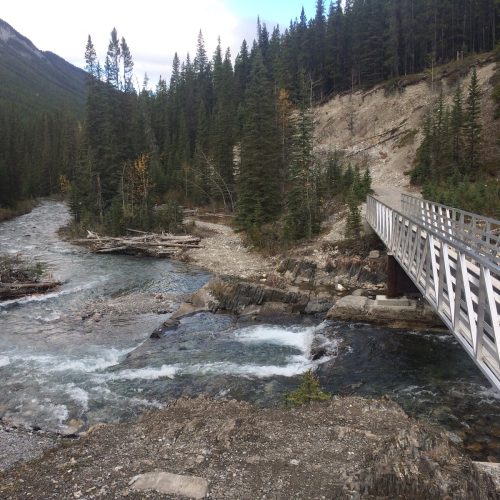 Spray River Trail Canmore